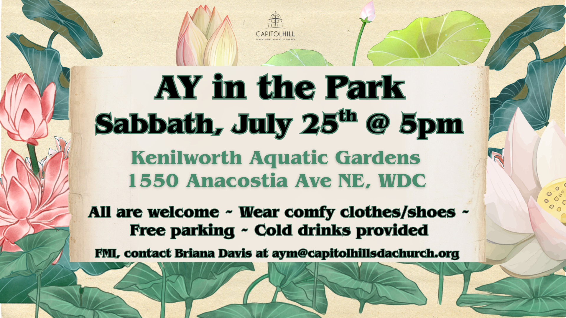 AY in the Park